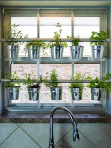 Start Your Herb Patch: Simple Indoor & Outdoor Guide