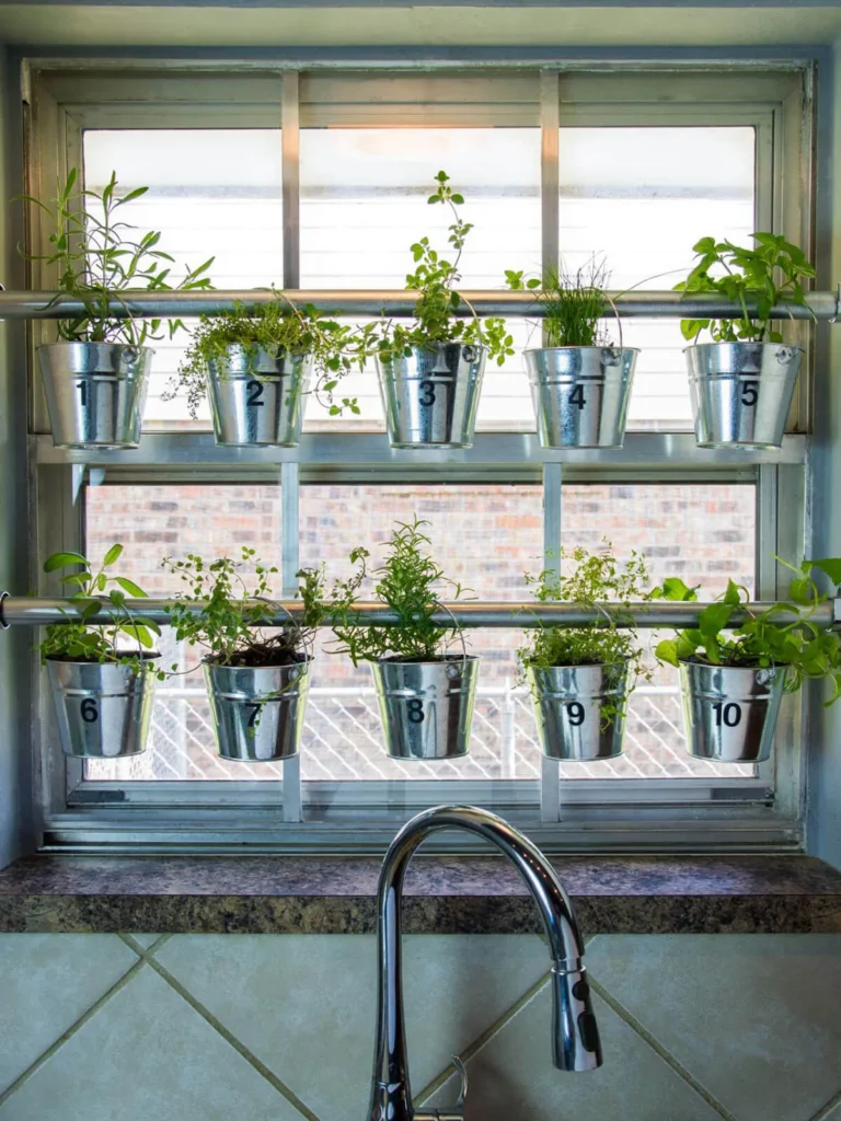 Start Your Herb Patch: Simple Indoor & Outdoor Guide