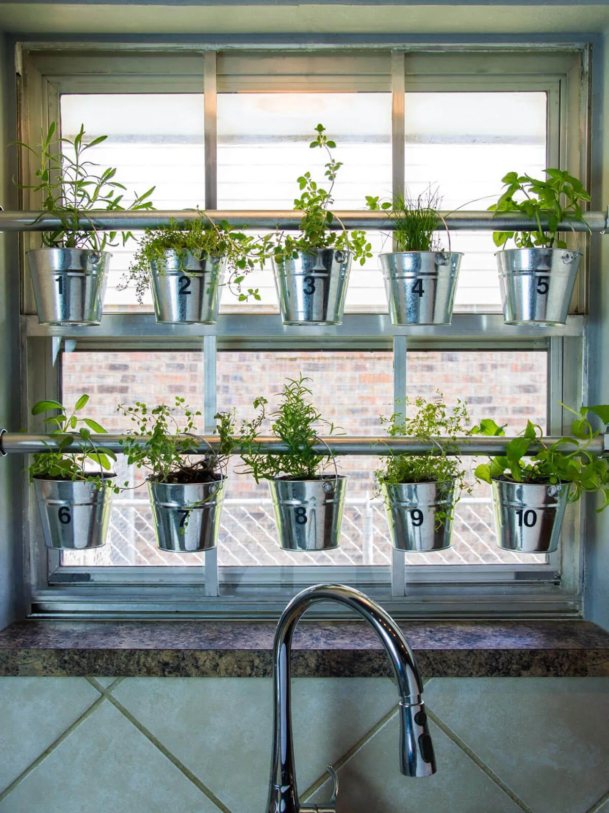Start Your Herb Patch: Simple Indoor & Outdoor Guide