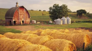 Farm-Fresh vs. Store-Bought Produce: The Ultimate Showdown