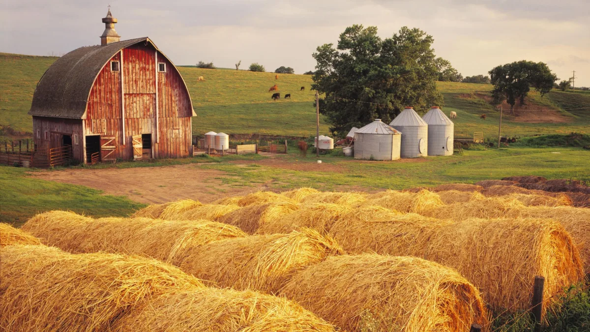 Farm-Fresh vs. Store-Bought Produce: The Ultimate Showdown