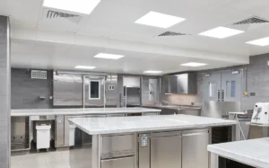 Restaurant Kitchen Energy Efficiency: Slash Costs, Boost Profits