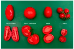Cherry, Roma, and San Marzano Tomato Recipes: A Comprehensive Guide