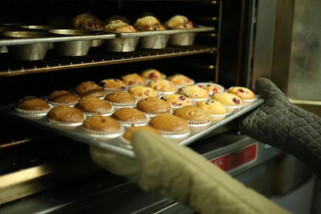 Choosing the Right Commercial Oven: Convection vs. Combi