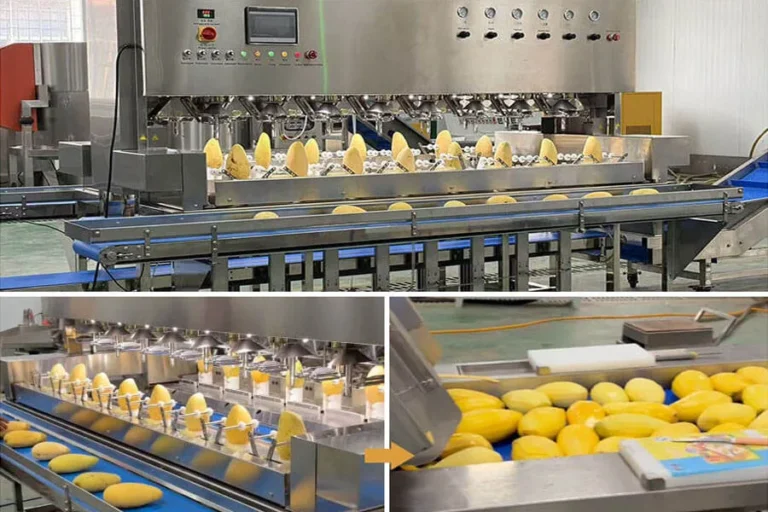 The Ultimate Guide to Commercial Kitchen Equipment for Mango Processing: From Farm to Fork