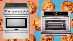 Convection Ovens vs. Conventional Ovens: The Home Kitchen Showdown