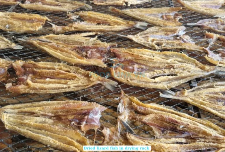 Cooking Salt-Dried Lizard Fish: Expert Advice for a Unique Culinary Experience