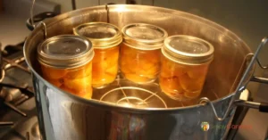 Water Bath Canning Basics: Preserve Your Harvest