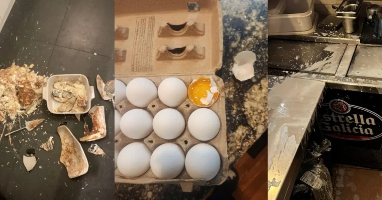 Dumbest Kitchen Stories Revealed: A Journey Through Culinary Mishaps