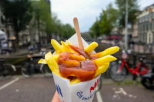 Why Do Dutch Fries Taste So Good? A Deep Dive