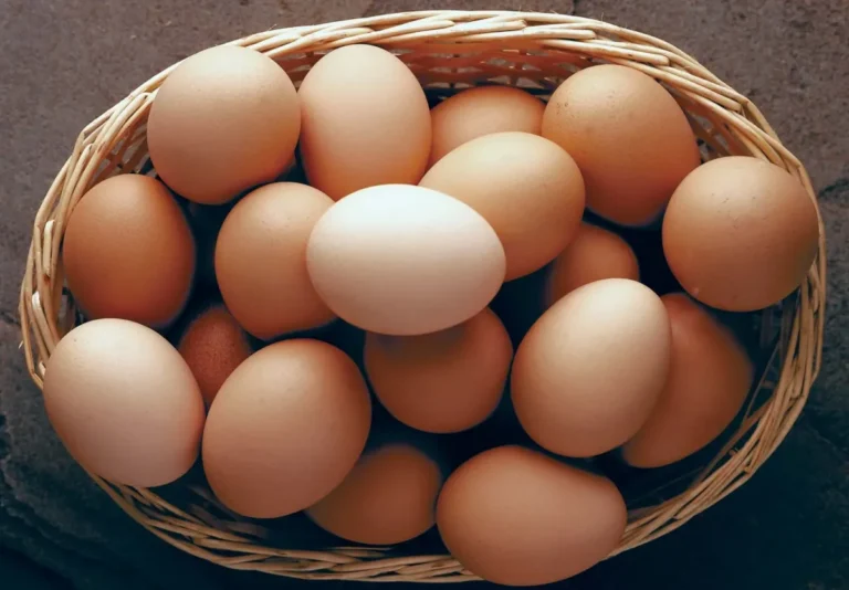 Egg-cellent Uses: A Global Journey Through Cultural Egg Dishes