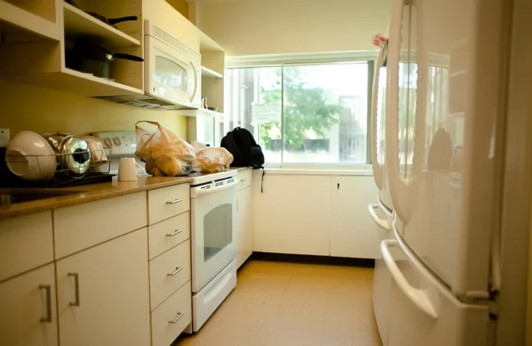 Essential Dorm Room Appliances for College Student Kitchens