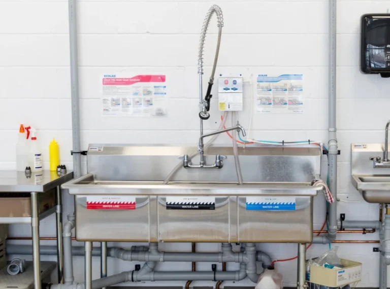 My Essential Kitchen Sanitation Station Planning Guide