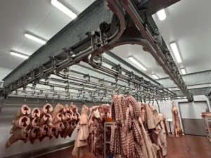 Essential Meat Processing Gear for Modern Butcheries