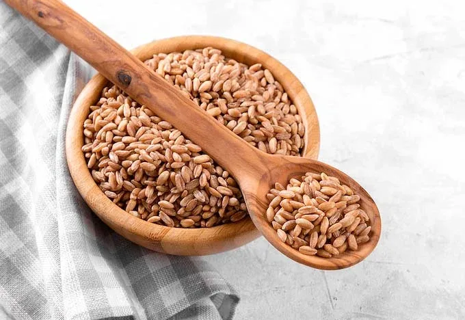 Exploring Ancient Grains: Farro, Spelt, and Einkorn