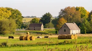 Farm-to-Table Restaurant Marketing: Telling Your Authentic Story