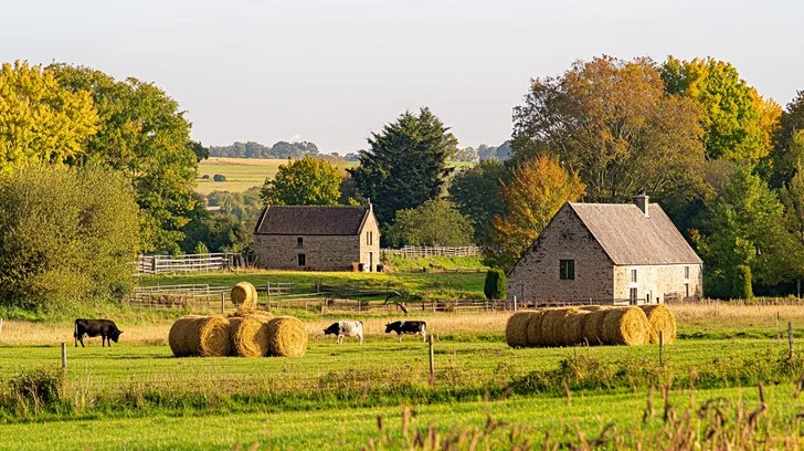 Farm-to-Table Restaurant Marketing: Telling Your Authentic Story
