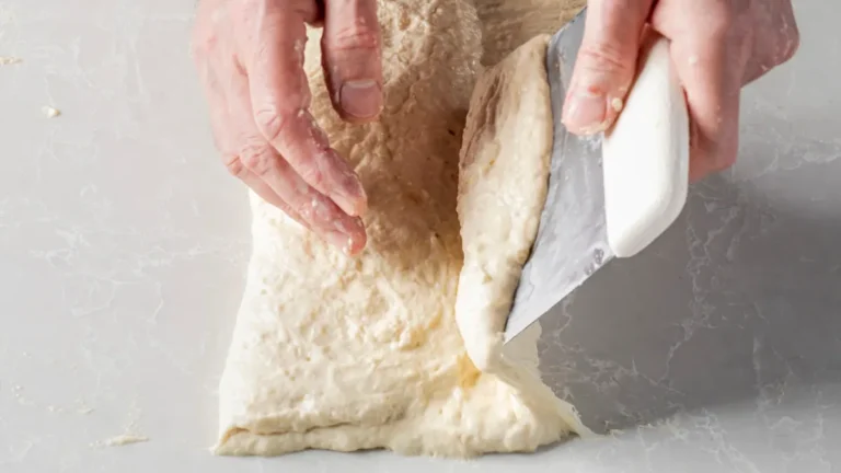 Is Focaccia Dough Elastic Enough? A Deep Dive