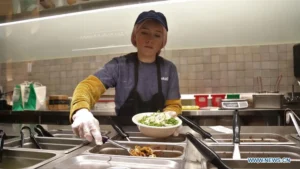 Food Truck Kitchens: Smart Design for Tiny Spaces