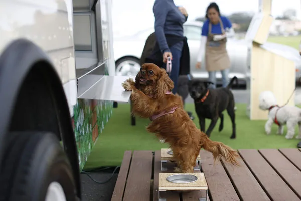 Food Truck Plumbing: Issues, Risks & Solutions
