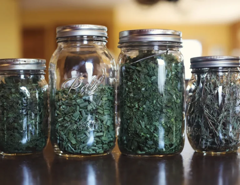 Freeze-Dried Herbs: A Culinary Game Changer in 2025