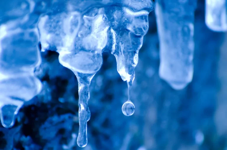 Freezing Par-Cooked Apples: Quality Tips for Commercial Kitchens