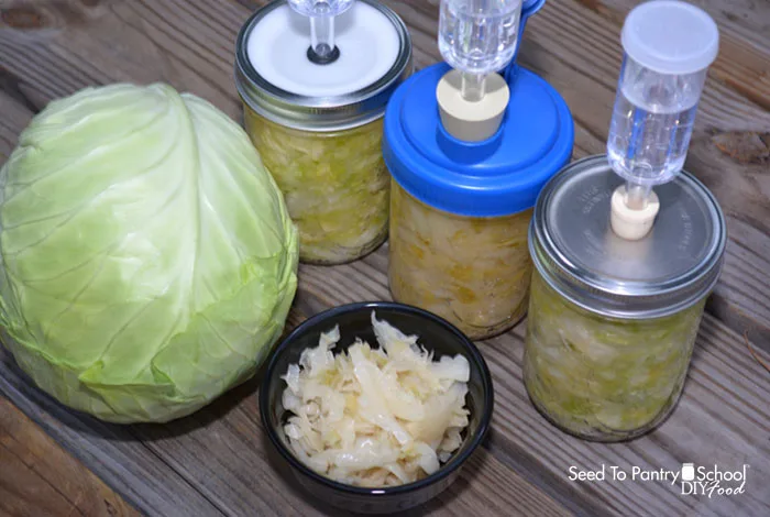 Getting Started with Fermentation: Sauerkraut Basics