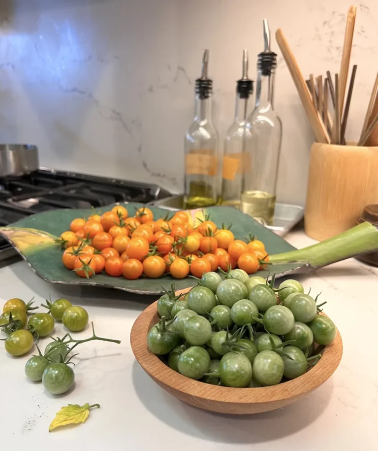 The Versatile Green Cherry Tomato: Uses, Recipes, and Ideas for 2025