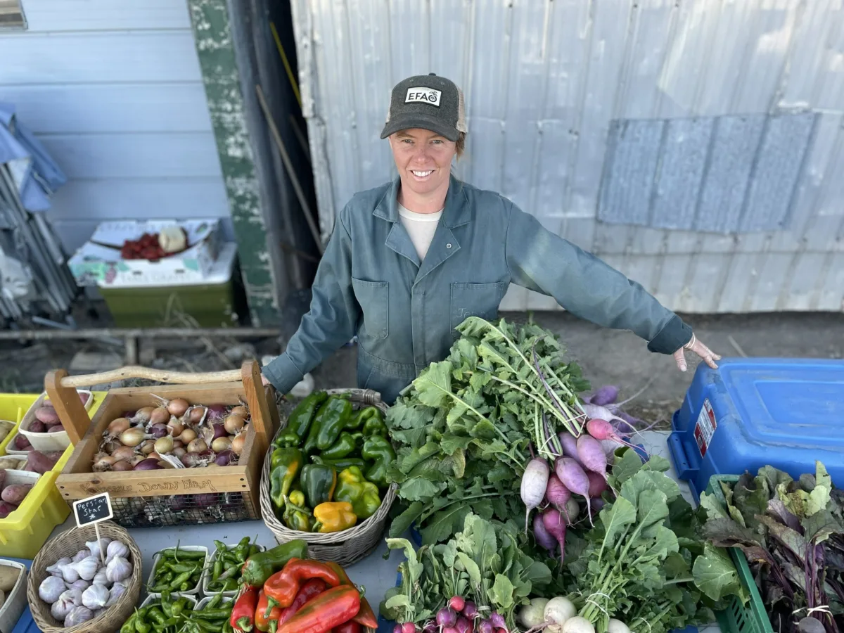 CSA Unpacked: How Farm Shares Actually Fuel Your Kitchen