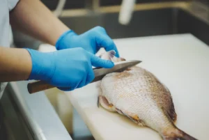 Spotting Bad Fish Fillets: Sammy's Tips for Freshness