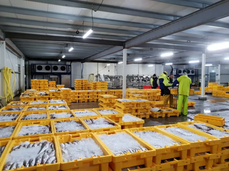 How to Inspect Frozen Seafood for Freshness Signs: A Chef’s Guide to Spotting Quality Before It Thaws