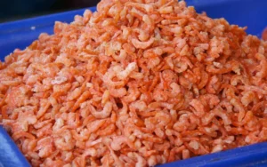 How to Store Dried Shrimp in Commercial Kitchens: A No-Nonsense Guide for Chefs Who Hate Waste