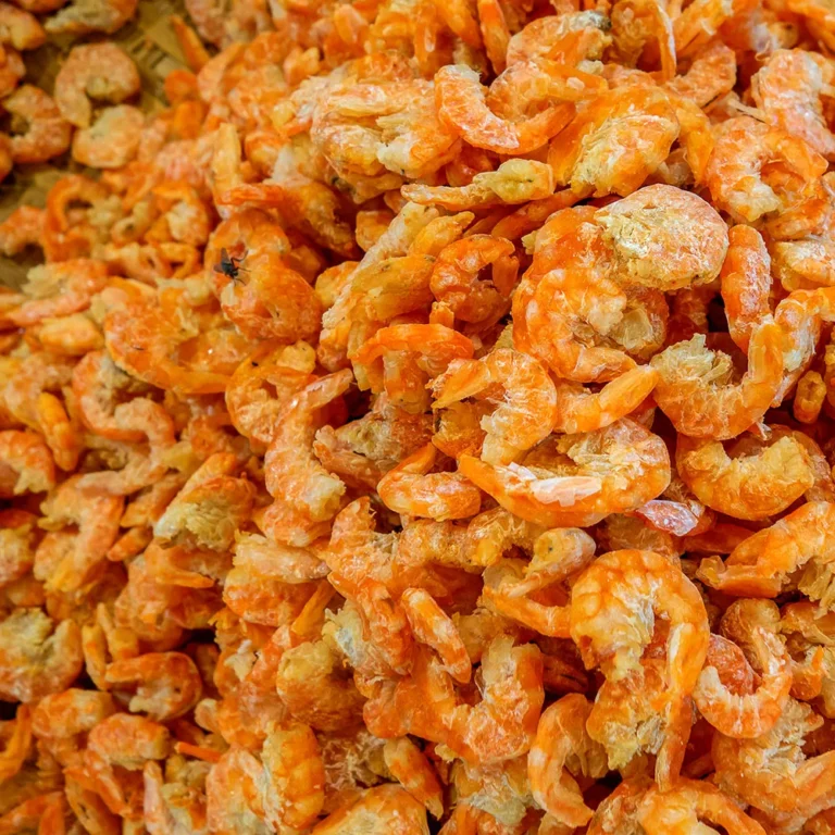 How to Store Dried Shrimp for Maximum Shelf Life in Commercial Kitchens: A Chef’s Guide to Freshness and Flavor