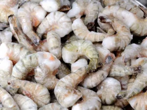 Is It Normal for Frozen Shrimp to Have Green Splotches?
