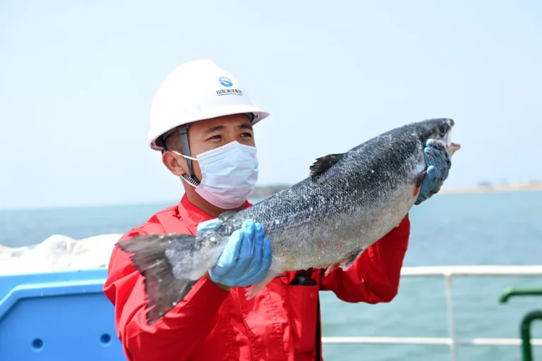 Is Salmon Safe to Eat? A Deep Dive into Nutrition, Risks, and Best Practices