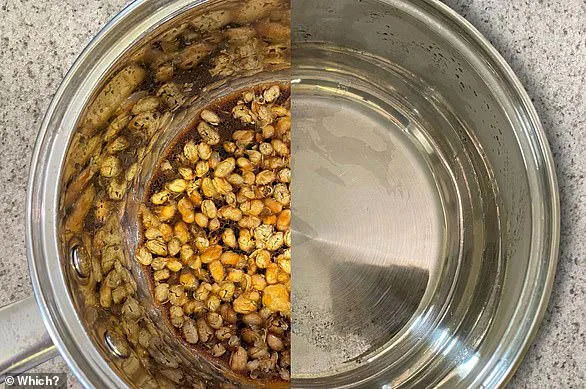 Is Your Saucepan Dying? Expert Tips to Revive It Today