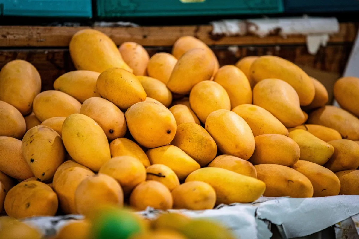 Mango Farm Products: What to Produce in 2025