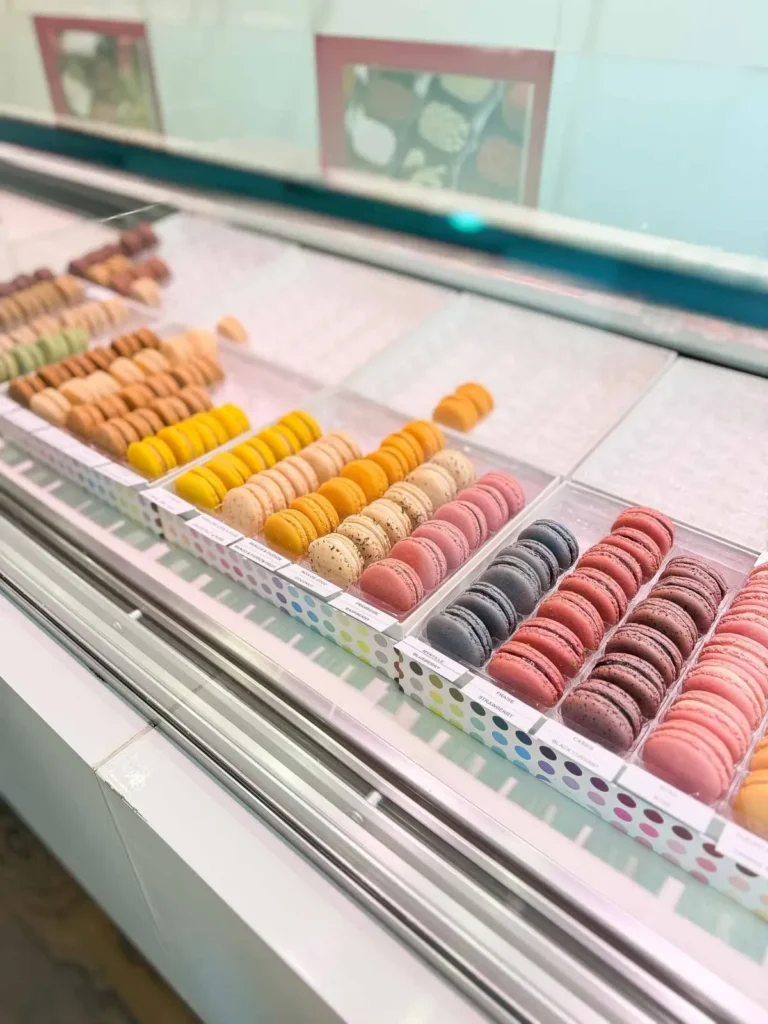 My French Macaron Odyssey: A Baker's Tale