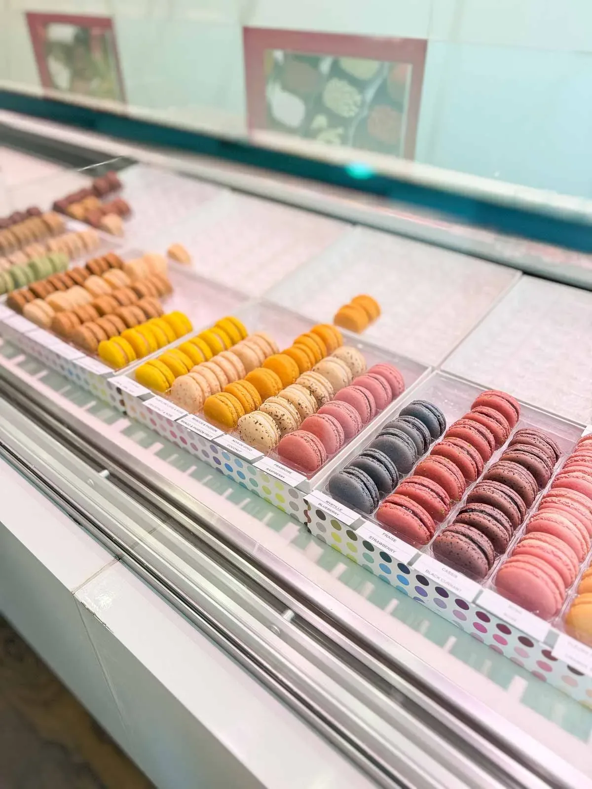 My French Macaron Odyssey: A Baker's Tale