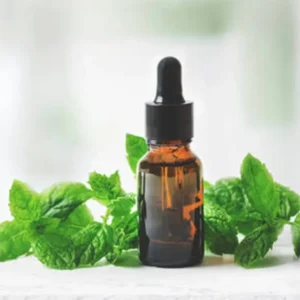Mint Extract: Uses, Benefits, and Risks – A Comprehensive Guide