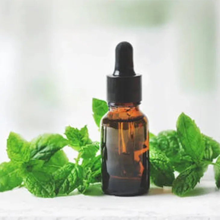 Mint Extract: Uses, Benefits, and Risks – A Comprehensive Guide