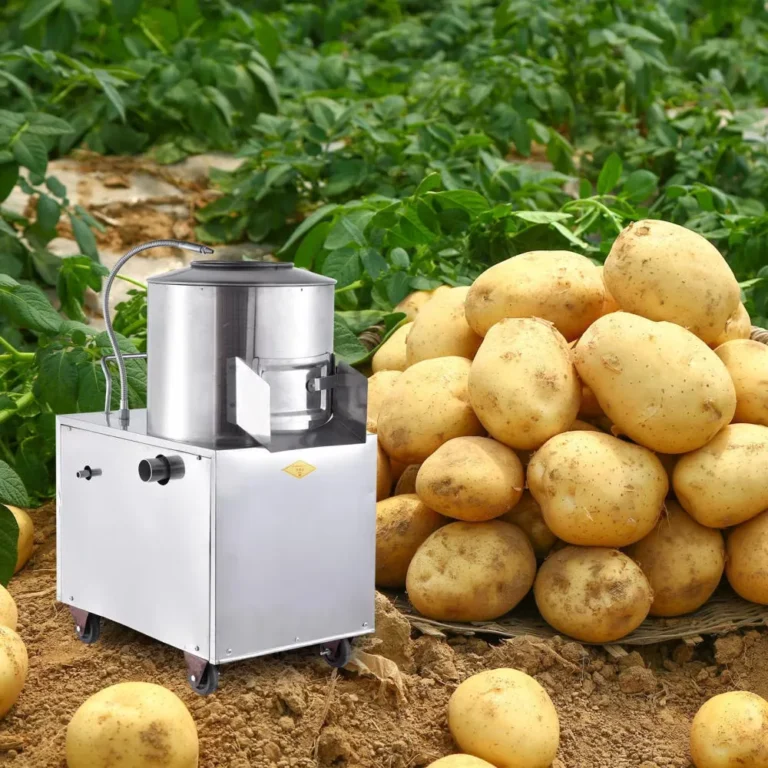 The Most Versatile Vegetable for Cooking: A Deep Dive into Potatoes