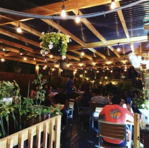 Nashville Hidden Coffee Gems: Secret Local Spots