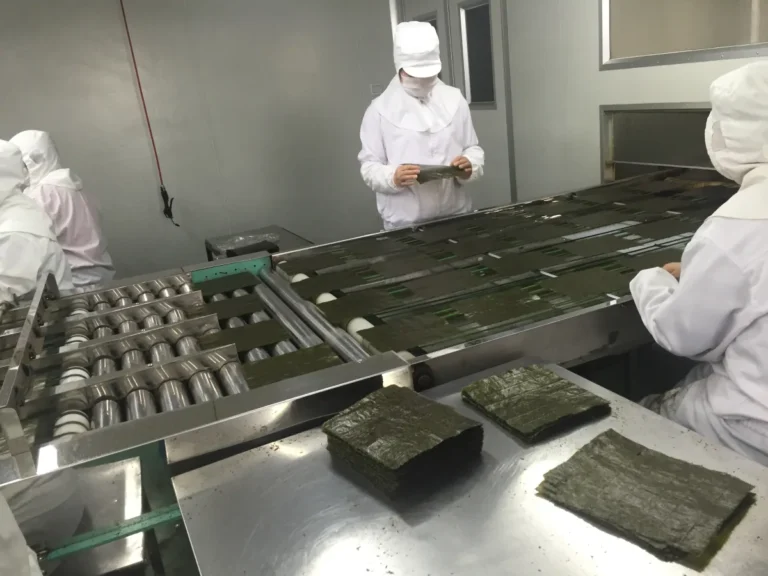 Nori Issues and Rubber Sheets: Common Problems and Effective Fixes