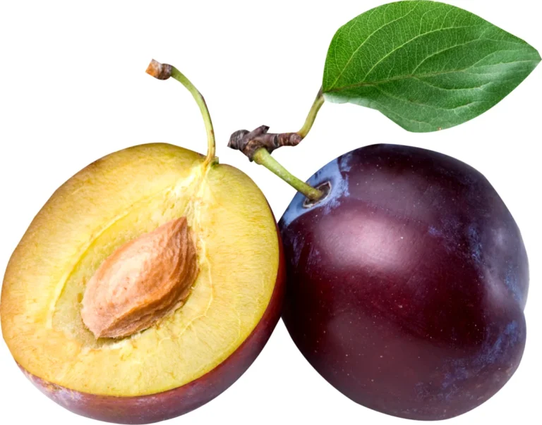 Plum Sauce Desserts: Creative Ideas and Recipes to Elevate Your Sweet Treats