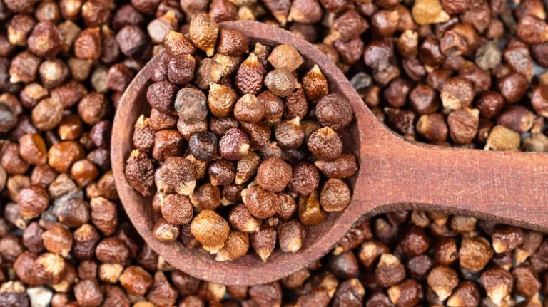 Exploring Grains of Paradise: The Rarely-Used Spice You Need to Know