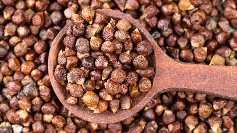 Exploring Grains of Paradise: The Rarely-Used Spice You Need to Know