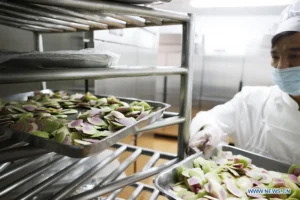 Reducing Food Waste in Commercial Kitchens: Practical Tips