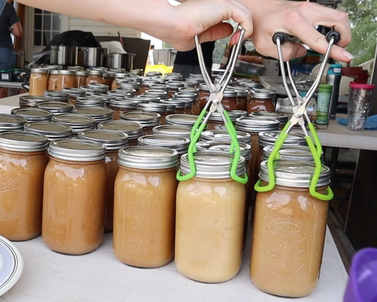 Farm Seconds: Slash Food Waste, Boost Kitchen Flavor