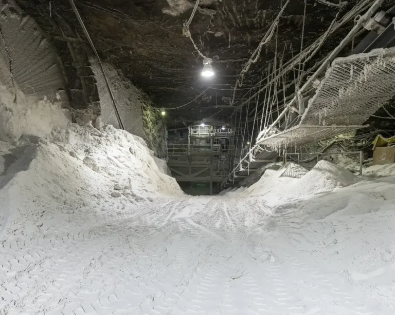 Is Salt-Mine Salt Worth Buying? A Deep Dive